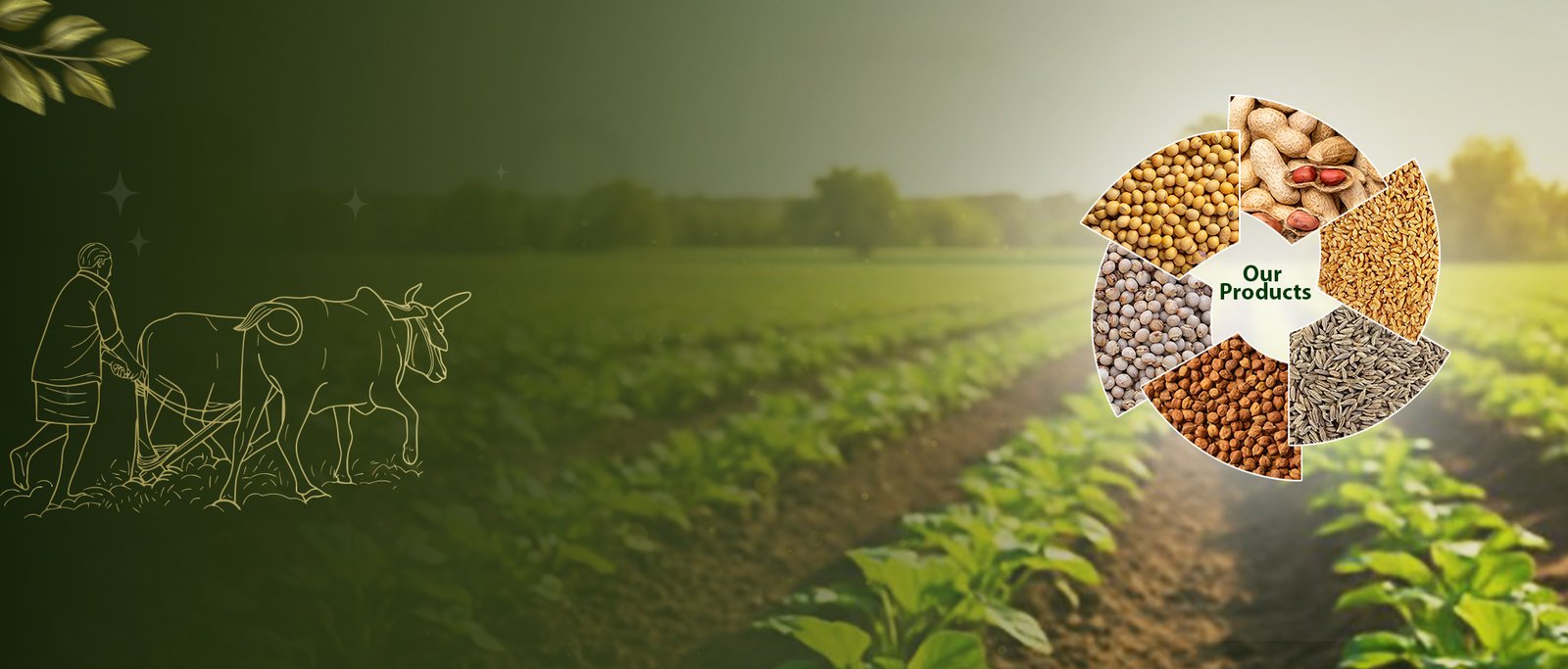 One Destination for Quality Seeds