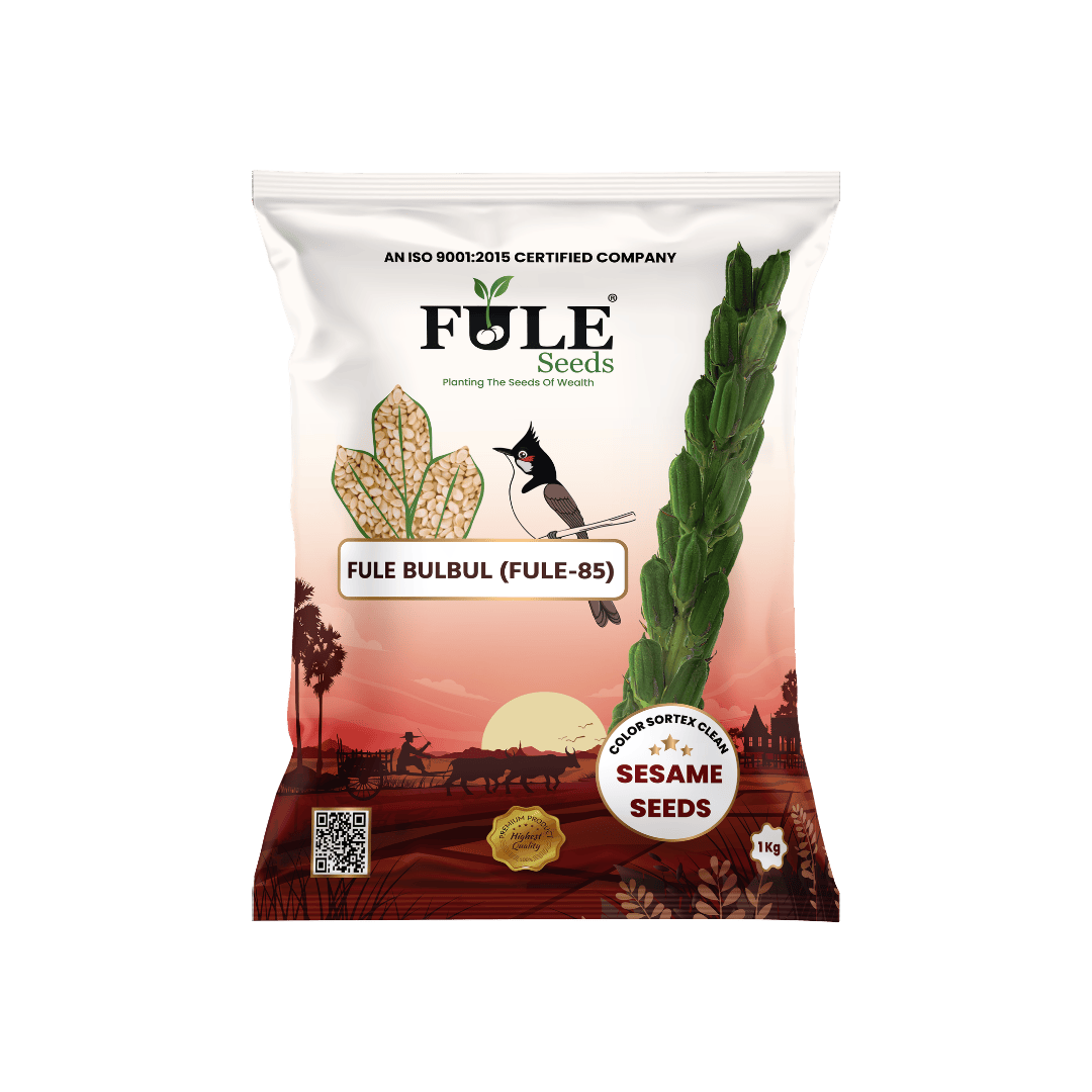 Fule BulBul (Fule 85)