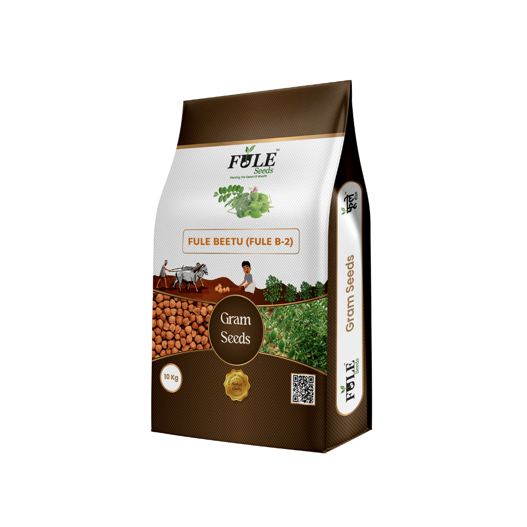 Fule Beetu (Fule B-2)