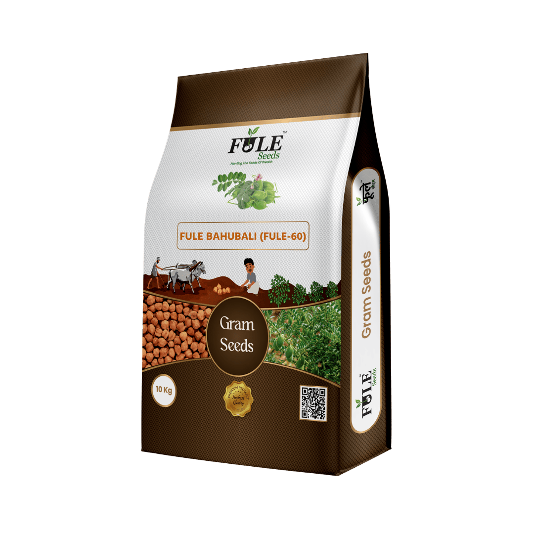 Fule Bahubali (Fule 60)