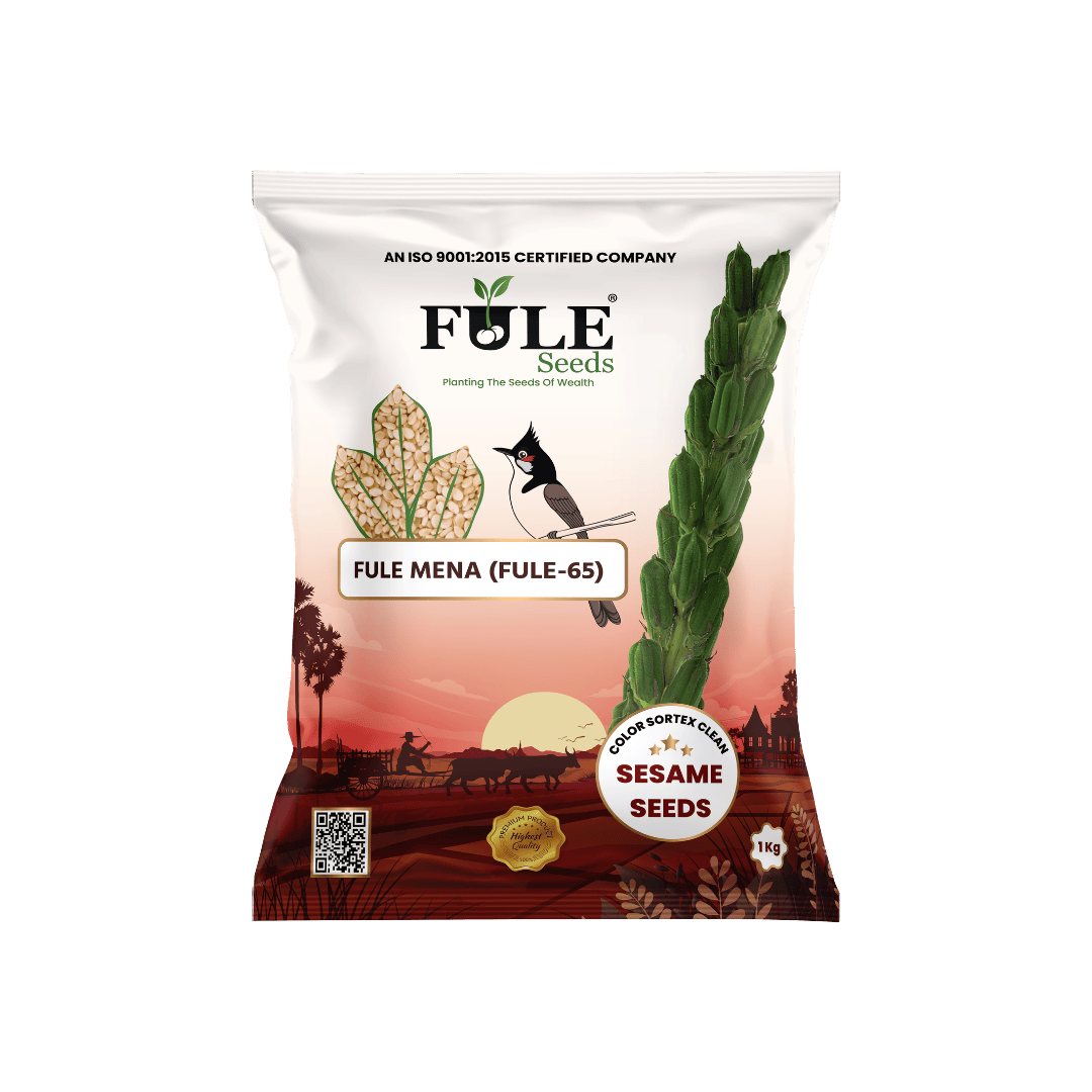 Fule Mena (Fule 65)