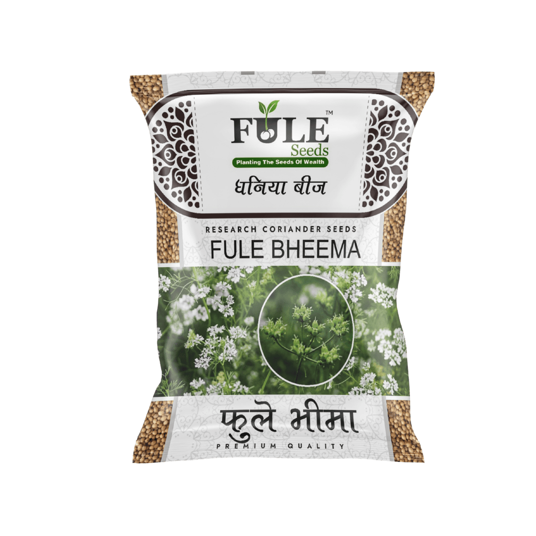 Fule Bheema (Fule 101)