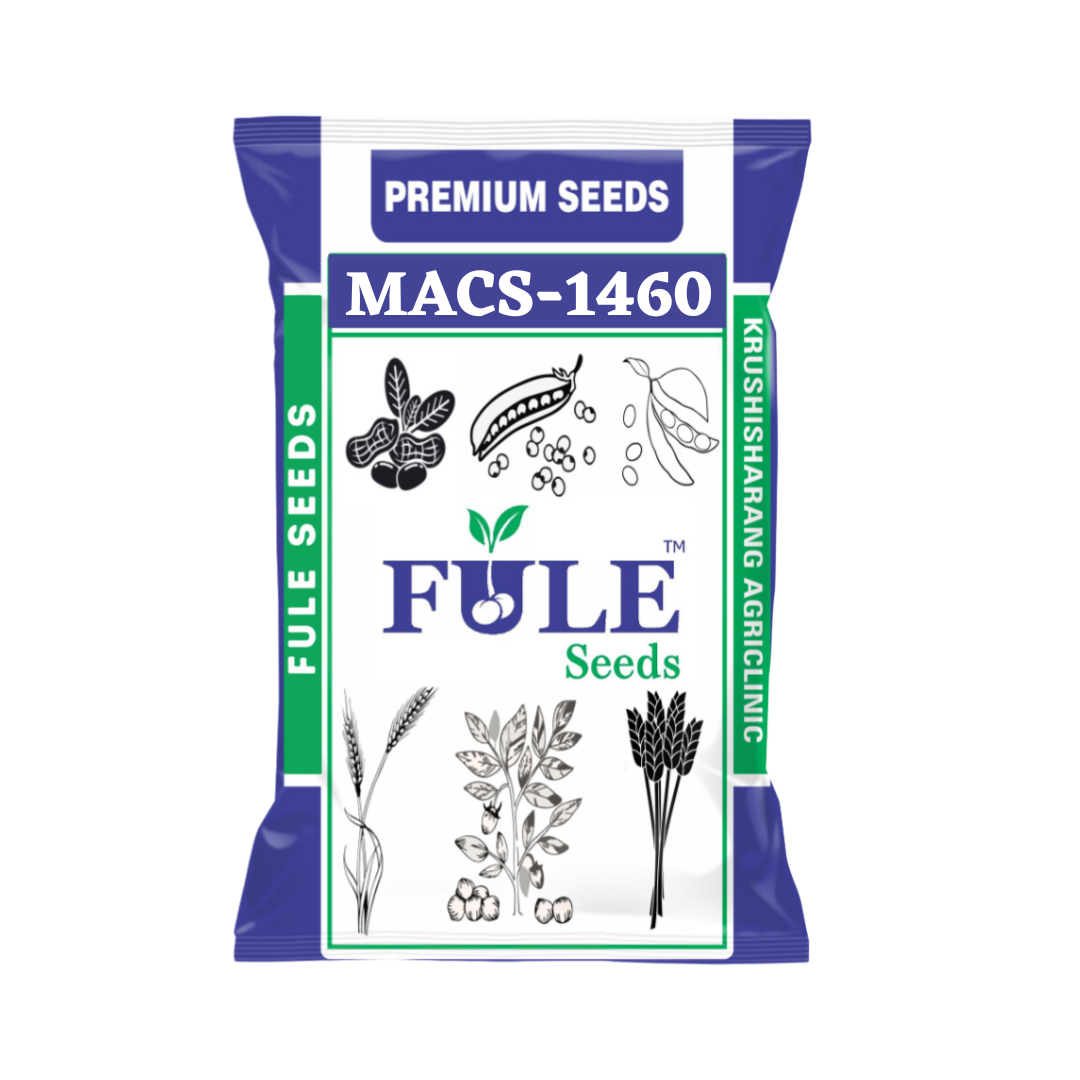 Soybean Fule Seeds