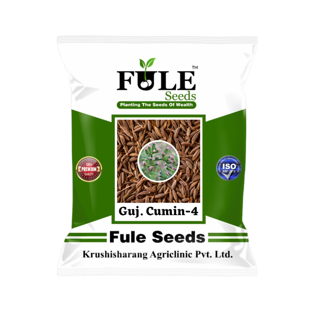 Cumin fule seeds