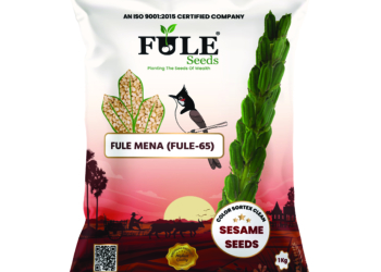 Fule Mena (Fule 65)